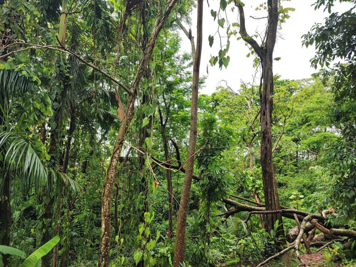 Casa Hadassa La Canada Palenque Dış mekan fotoğraf