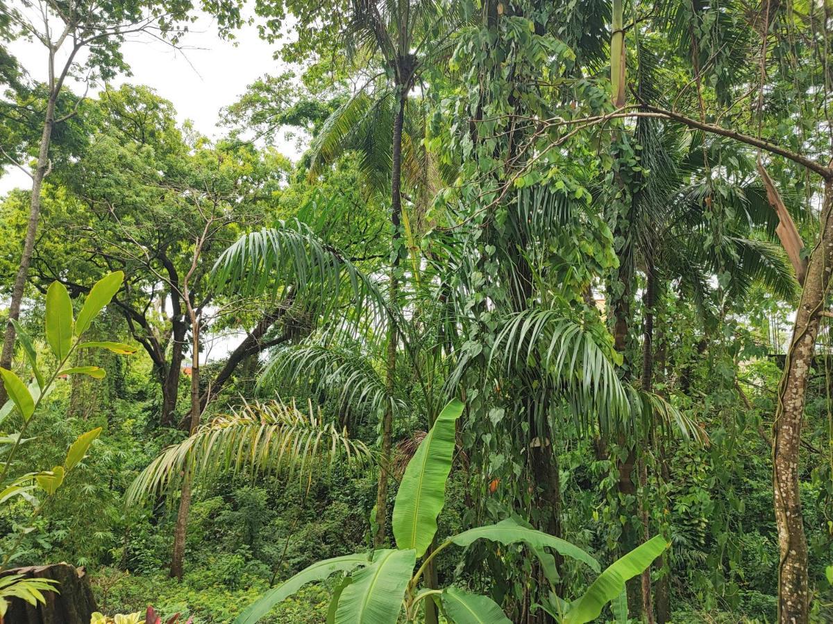 Casa Hadassa La Canada Palenque Dış mekan fotoğraf