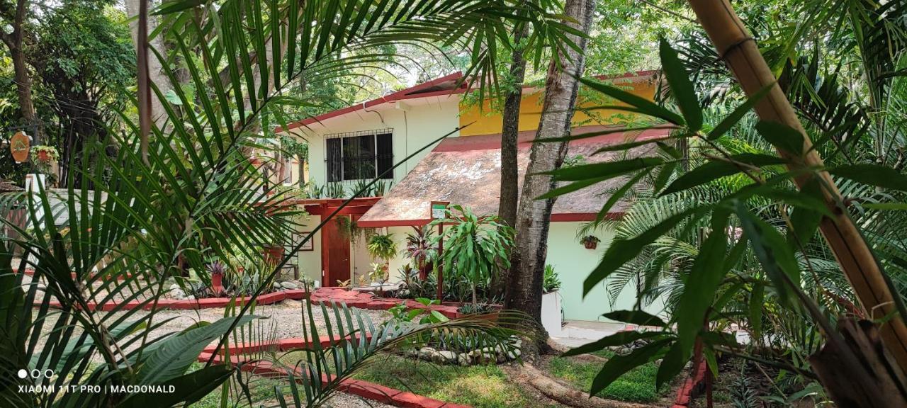 Casa Hadassa La Canada Palenque Dış mekan fotoğraf