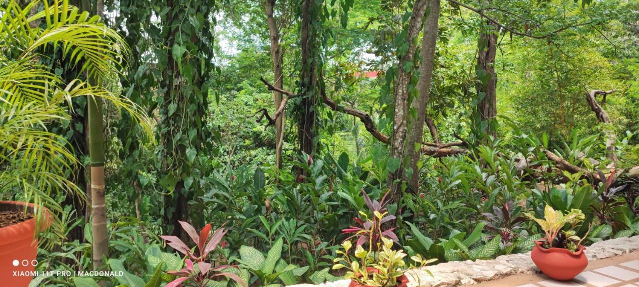 Casa Hadassa La Canada Palenque Dış mekan fotoğraf