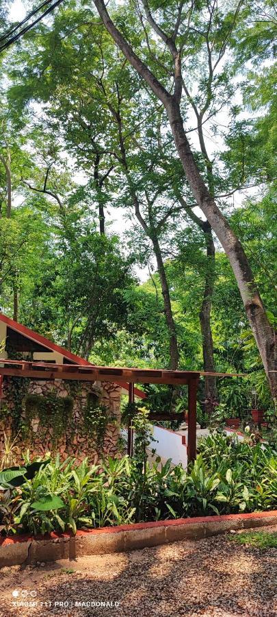 Casa Hadassa La Canada Palenque Dış mekan fotoğraf